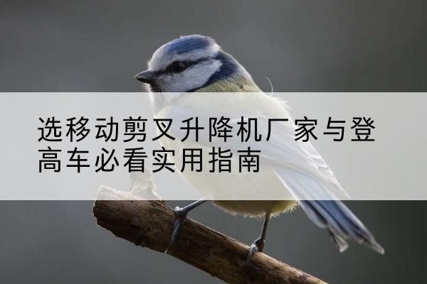 天门电动升降机厂家-选移动剪叉升降机厂家与登高车必看实用指南