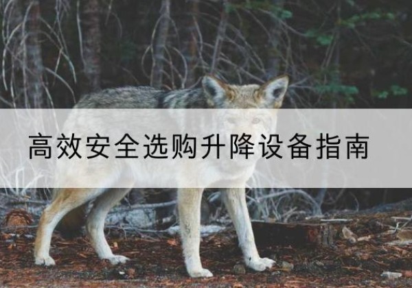 天门升降货梯厂家推荐-*安全选购升降设备指南